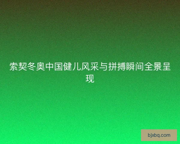 索契冬奥中国健儿风采与拼搏瞬间全景呈现